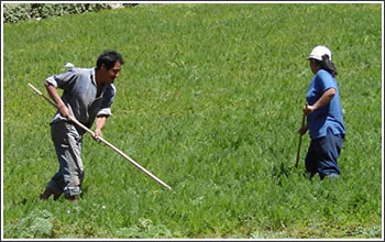 Agricultura