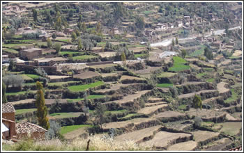 Andenes de Tarma